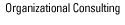 Organizational Consulting