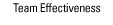 Team Effectiveness
